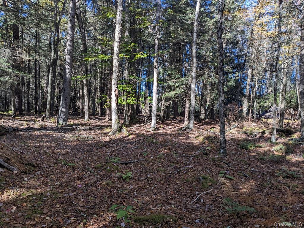 Moscoe Road, Bethel, NY 12786