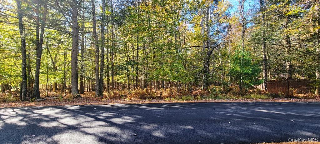 Moscoe Road, Bethel, NY 12786