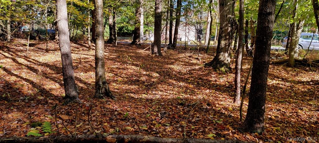 Moscoe Road, Bethel, NY 12786