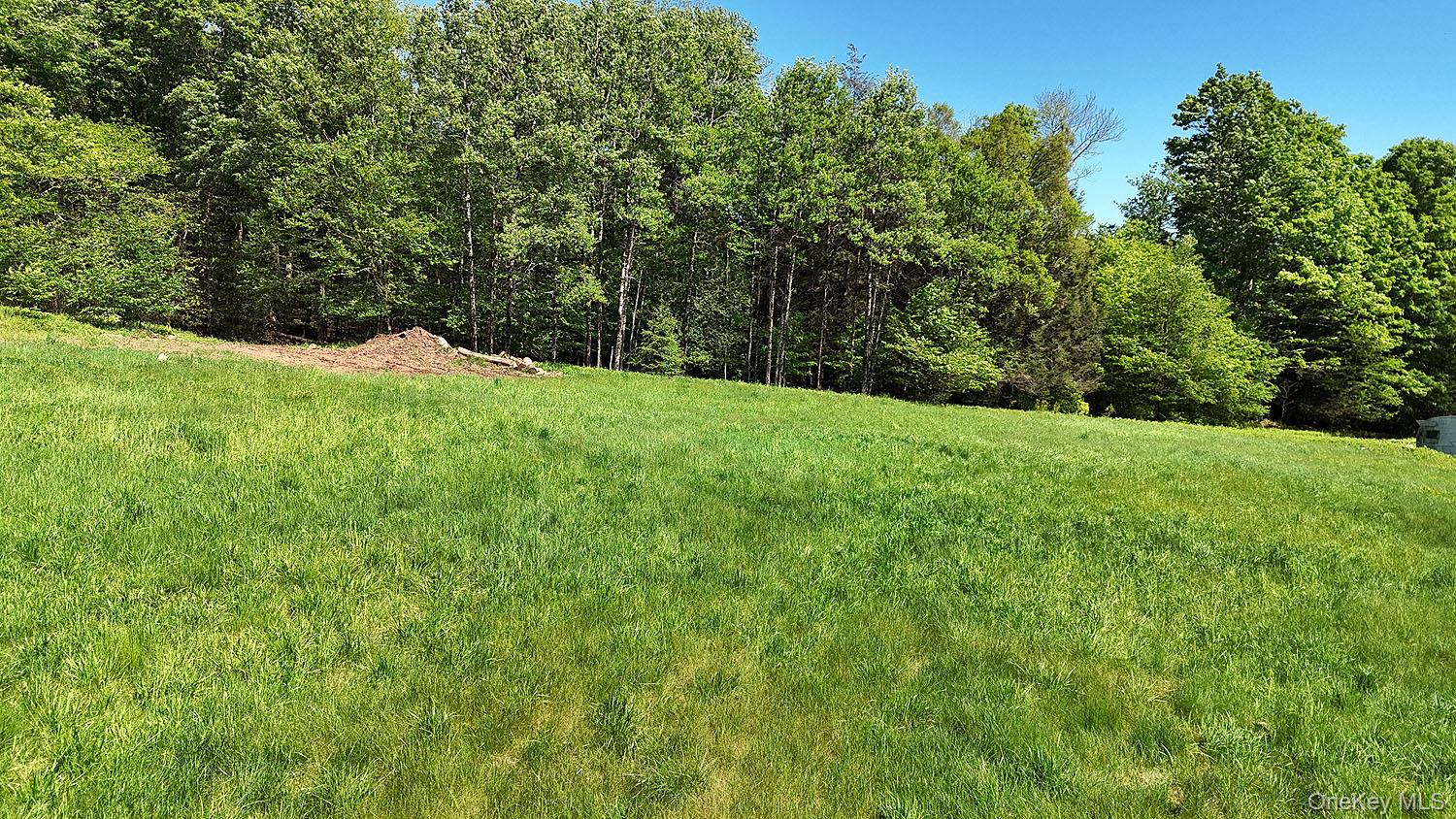 John Milk Road, Long Eddy, NY 13783