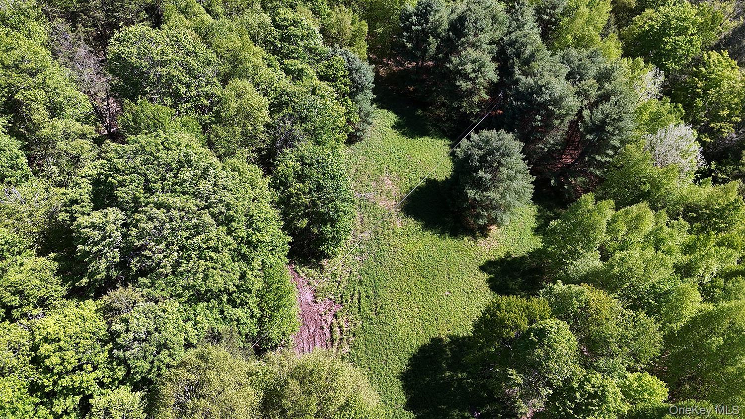 John Milk Road, Long Eddy, NY 13783