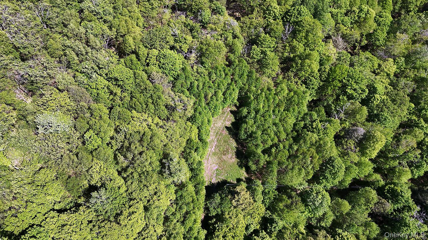 John Milk Road, Long Eddy, NY 13783