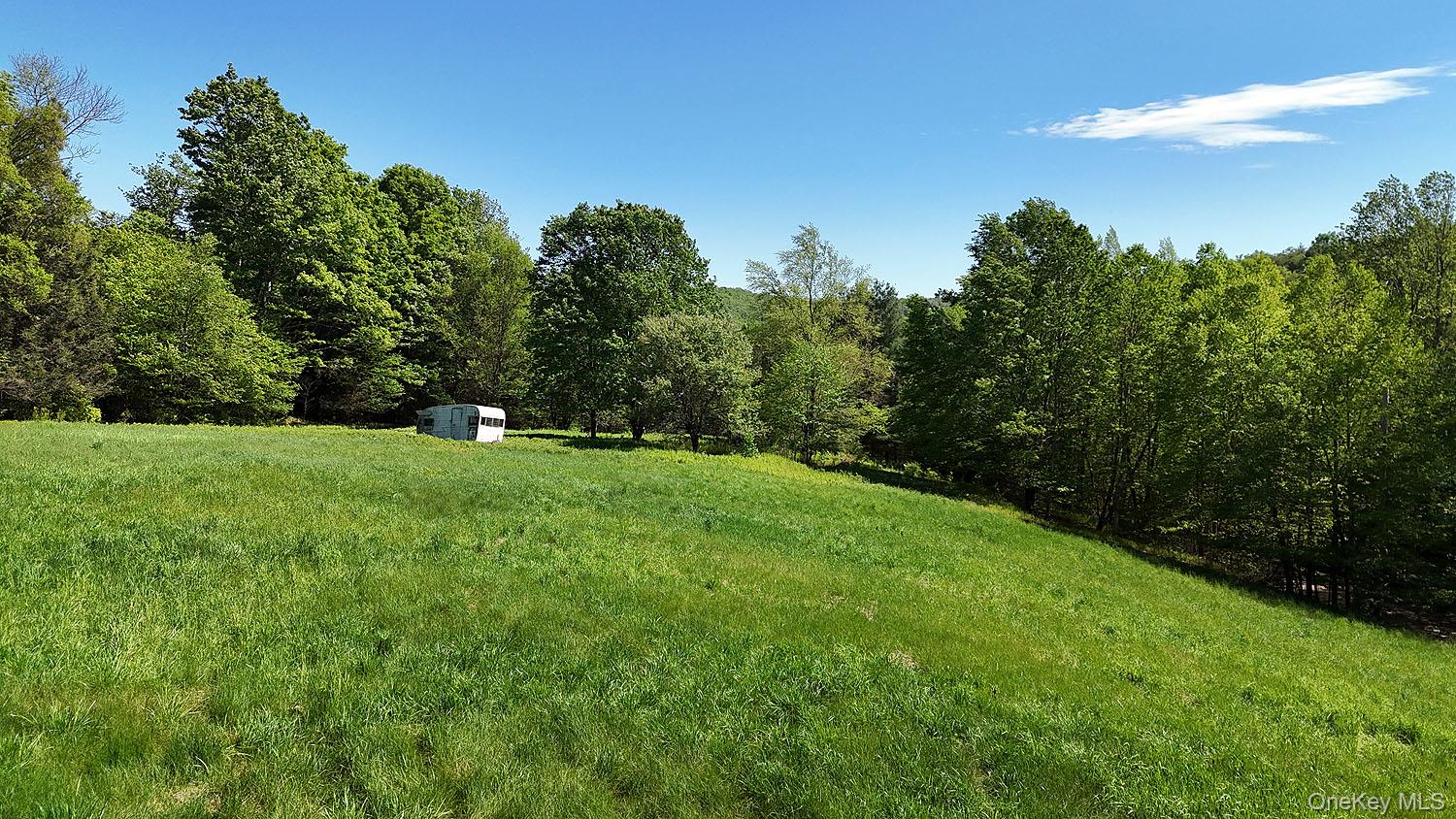 John Milk Road, Long Eddy, NY 13783