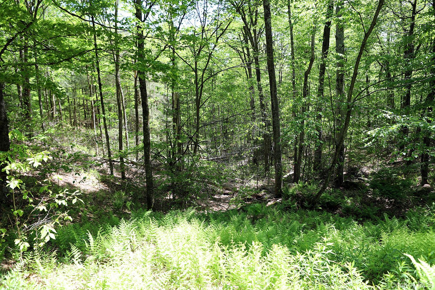 John Milk Road, Long Eddy, NY 13783