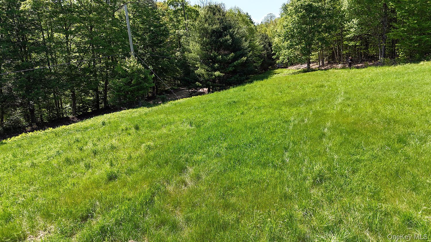 John Milk Road, Long Eddy, NY 13783