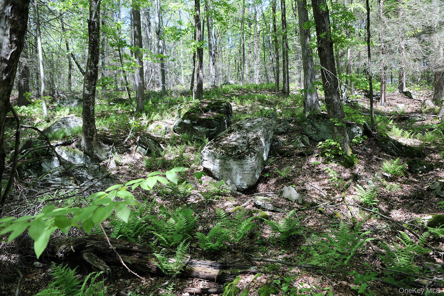 John Milk Road, Long Eddy, NY 13783