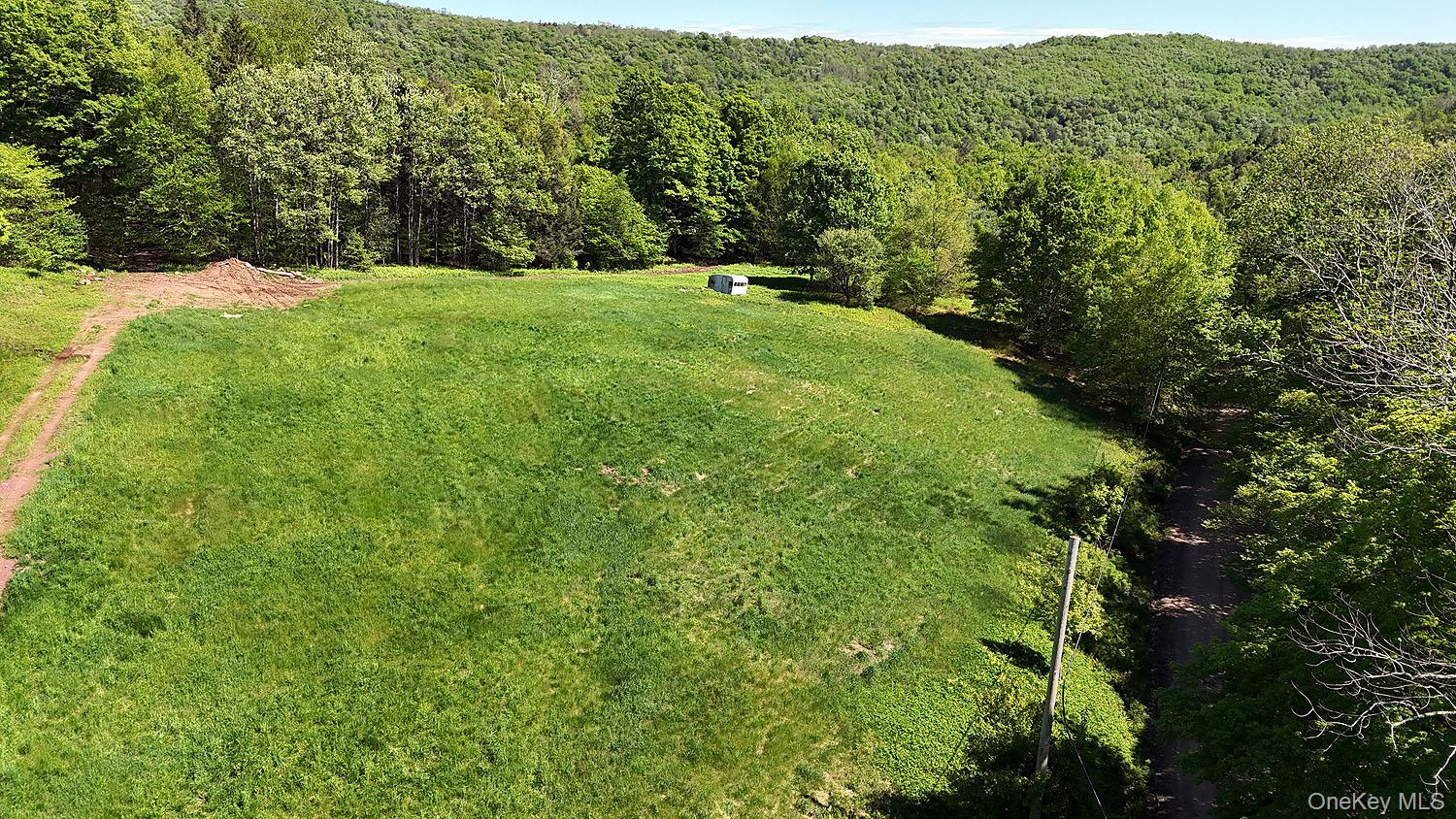 John Milk Road, Long Eddy, NY 13783