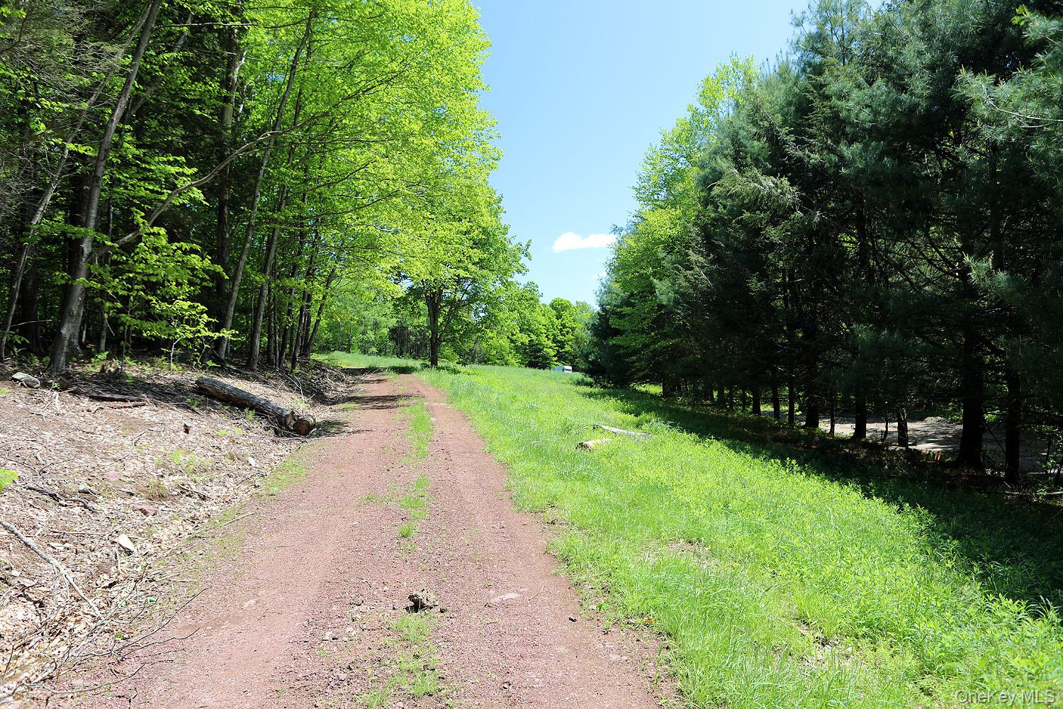 John Milk Road, Long Eddy, NY 13783