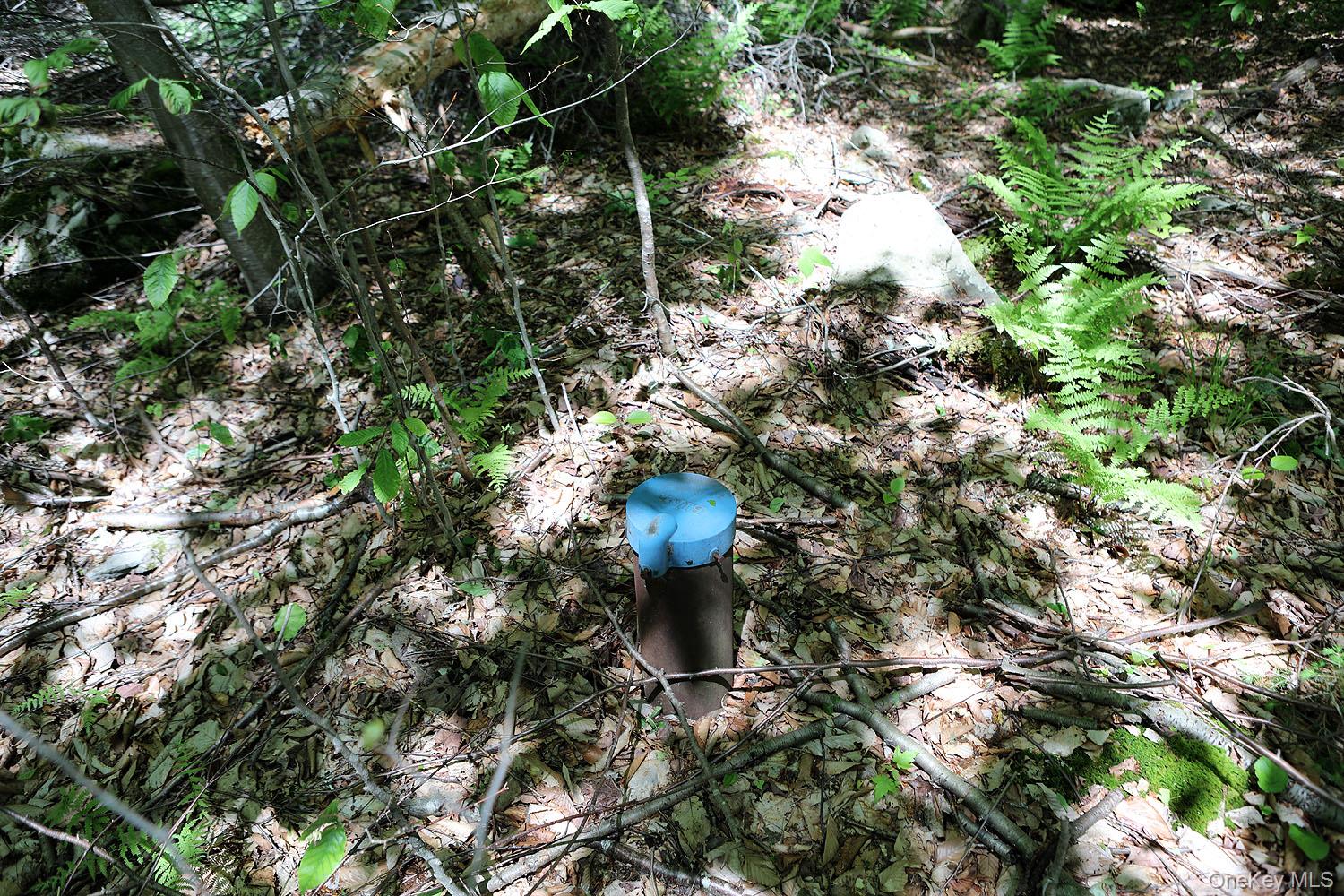 John Milk Road, Long Eddy, NY 13783