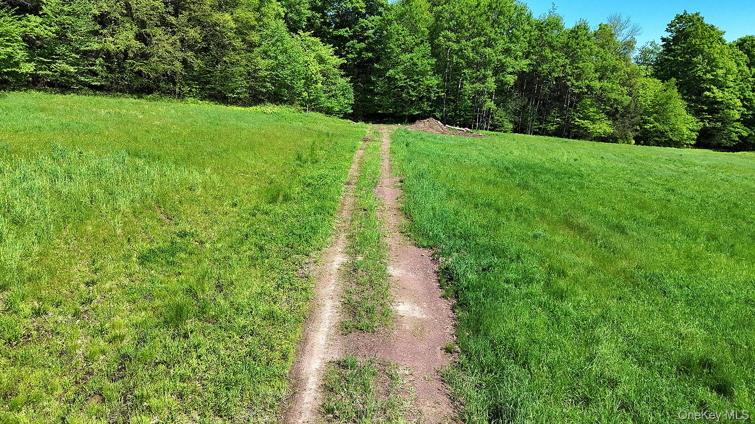 John Milk Road, Long Eddy, NY 13783