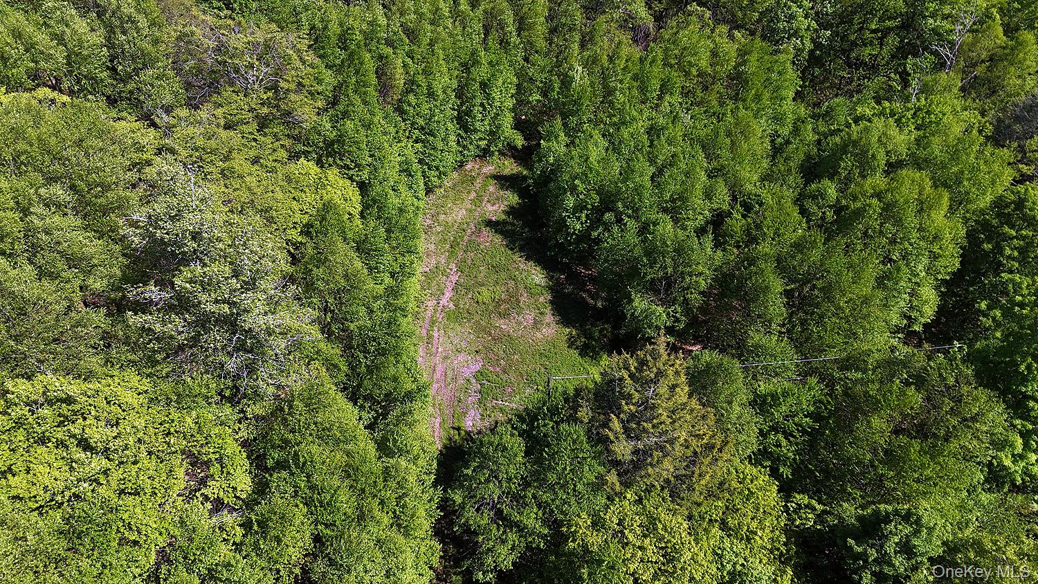 John Milk Road, Long Eddy, NY 13783