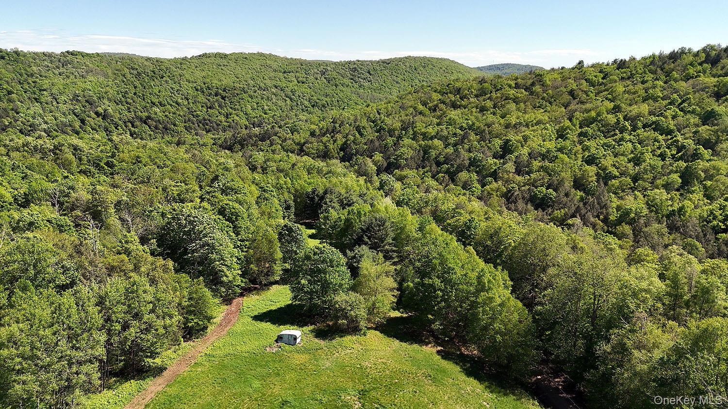 John Milk Road, Long Eddy, NY 13783