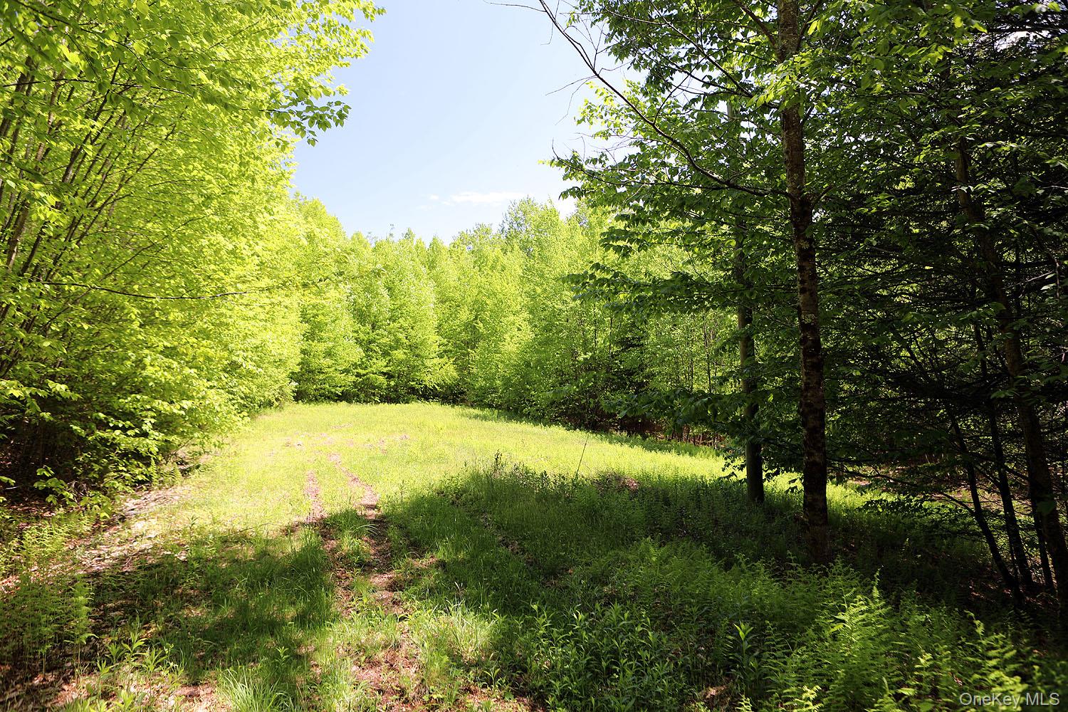 John Milk Road, Long Eddy, NY 13783