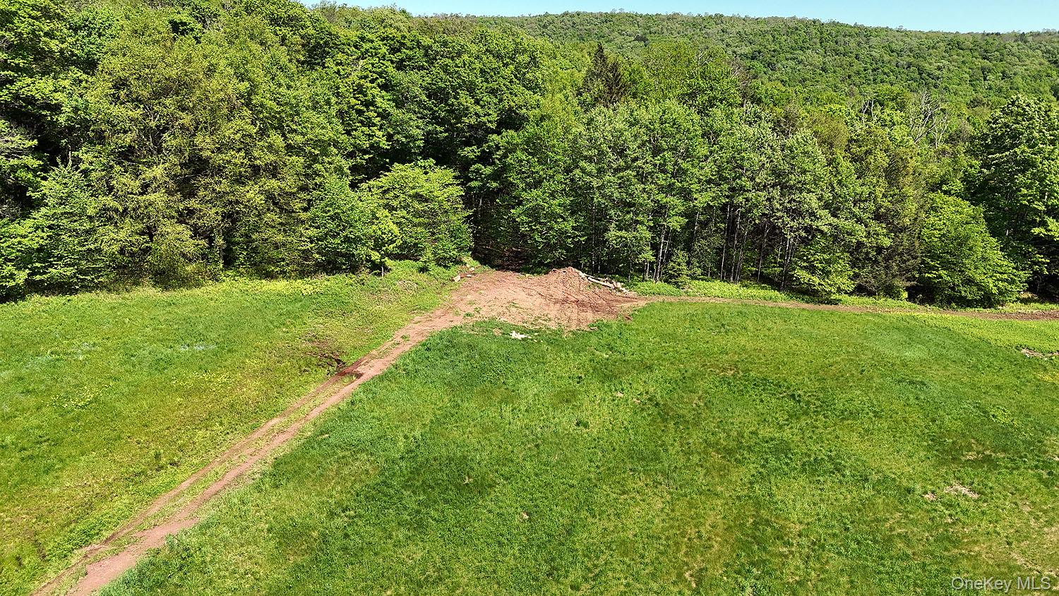 John Milk Road, Long Eddy, NY 13783