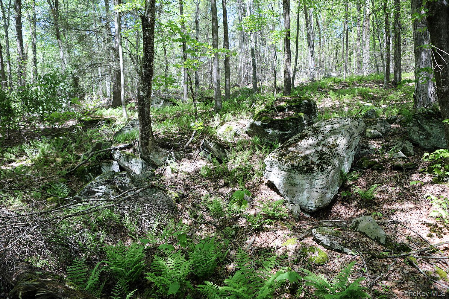 John Milk Road, Long Eddy, NY 13783