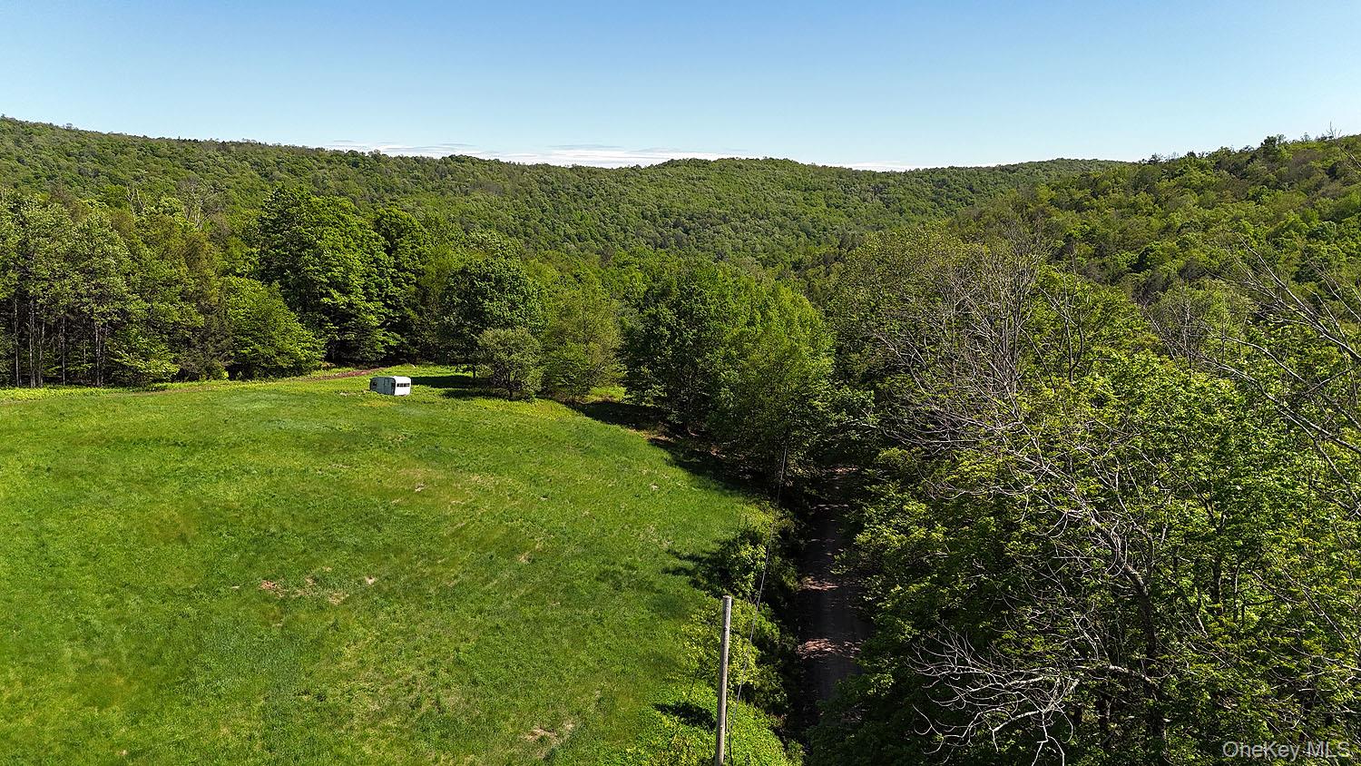 John Milk Road, Long Eddy, NY 13783