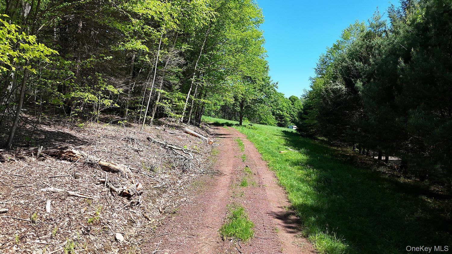 John Milk Road, Long Eddy, NY 13783