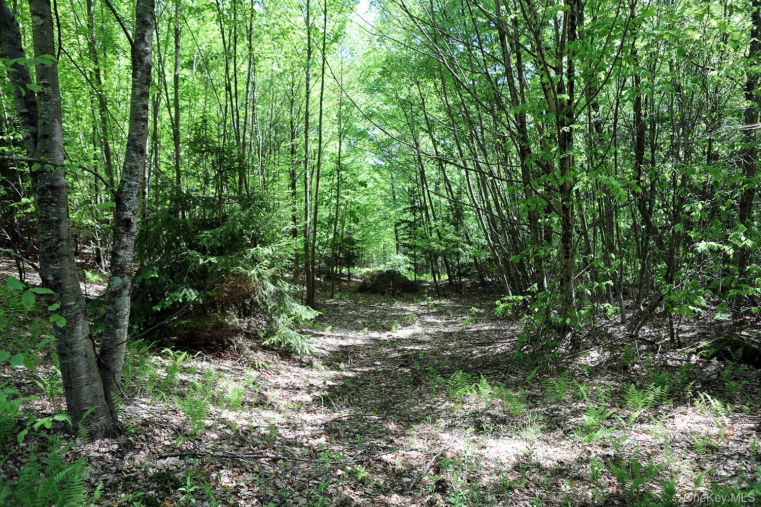 John Milk Road, Long Eddy, NY 13783