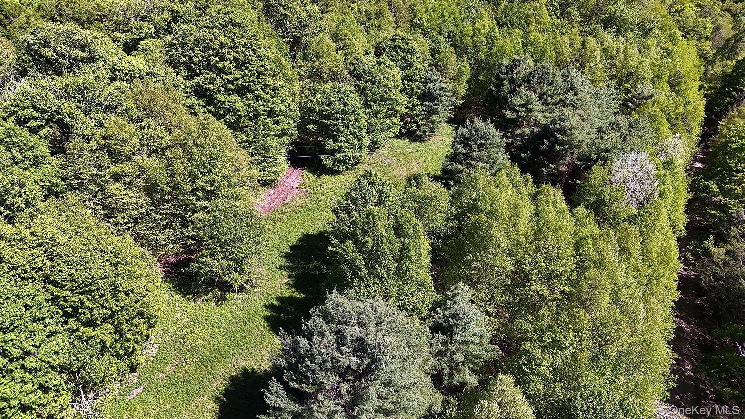 John Milk Road, Long Eddy, NY 13783