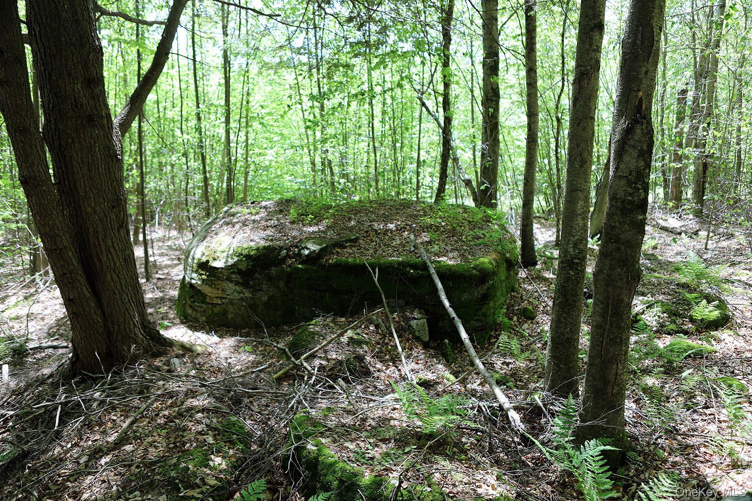 John Milk Road, Long Eddy, NY 13783