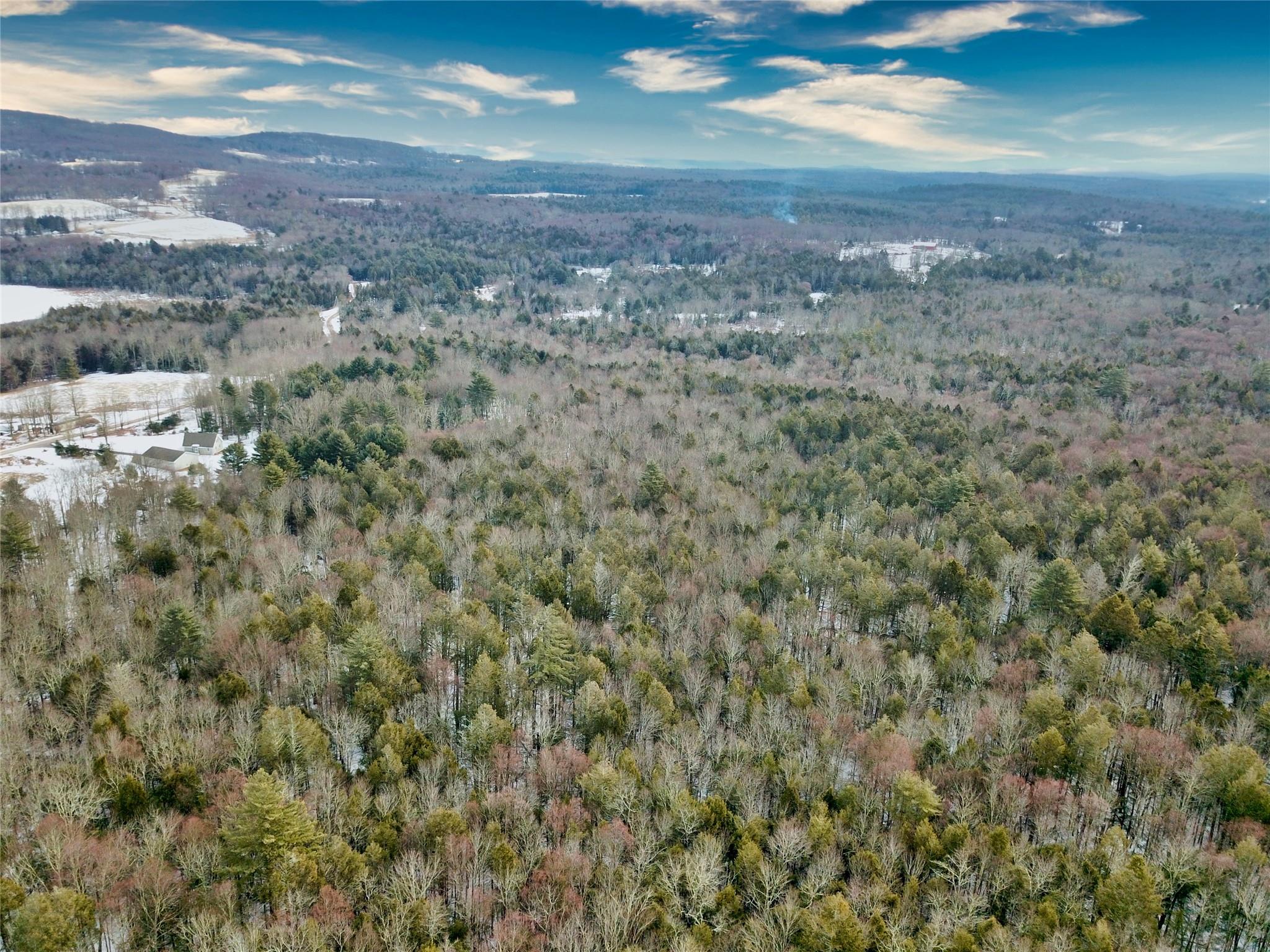 Low Road, Neversink, NY 12765
