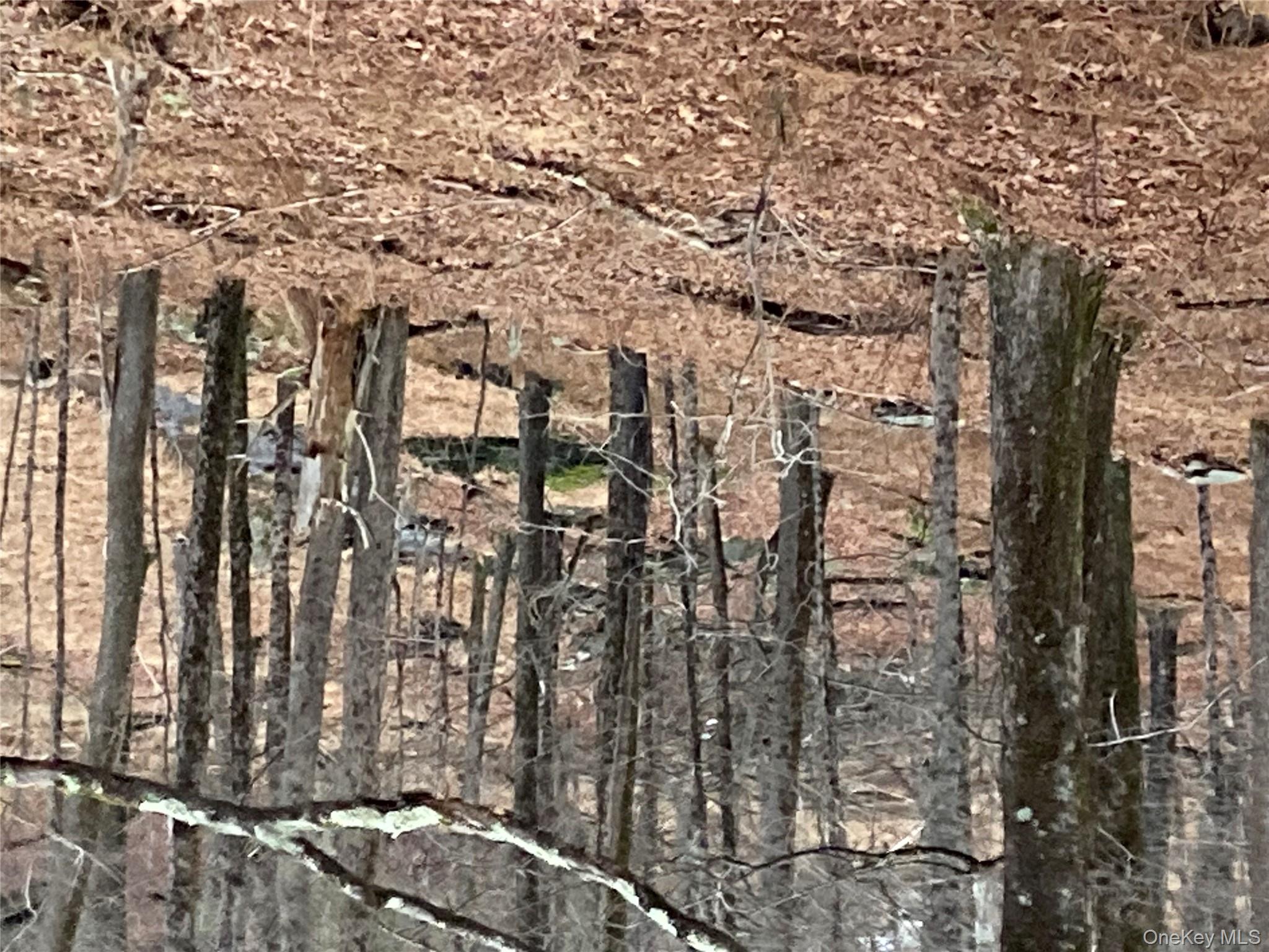 Red Hill Road, Wurtsboro, NY 12790