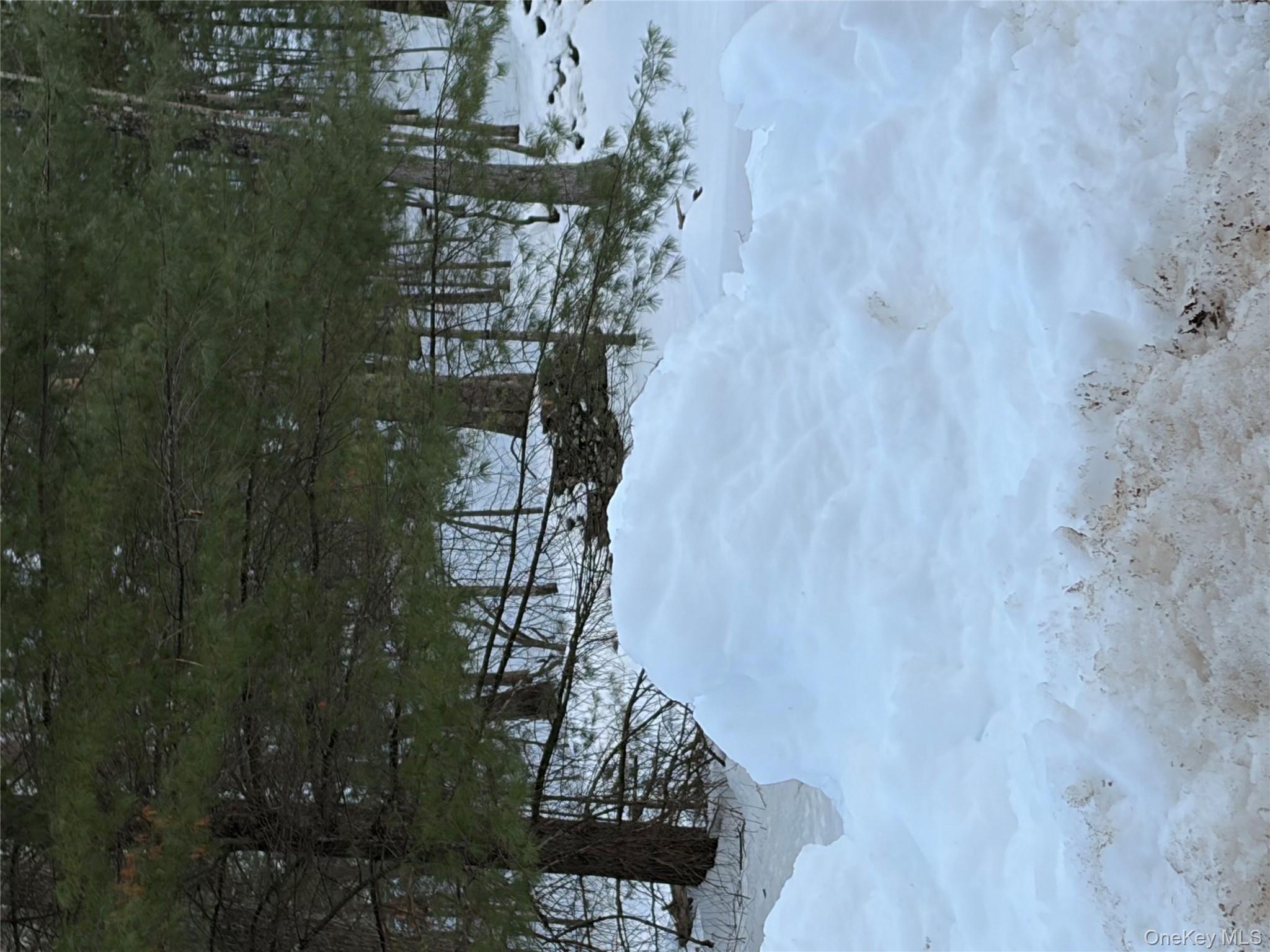 Red Hill Road, Wurtsboro, NY 12790