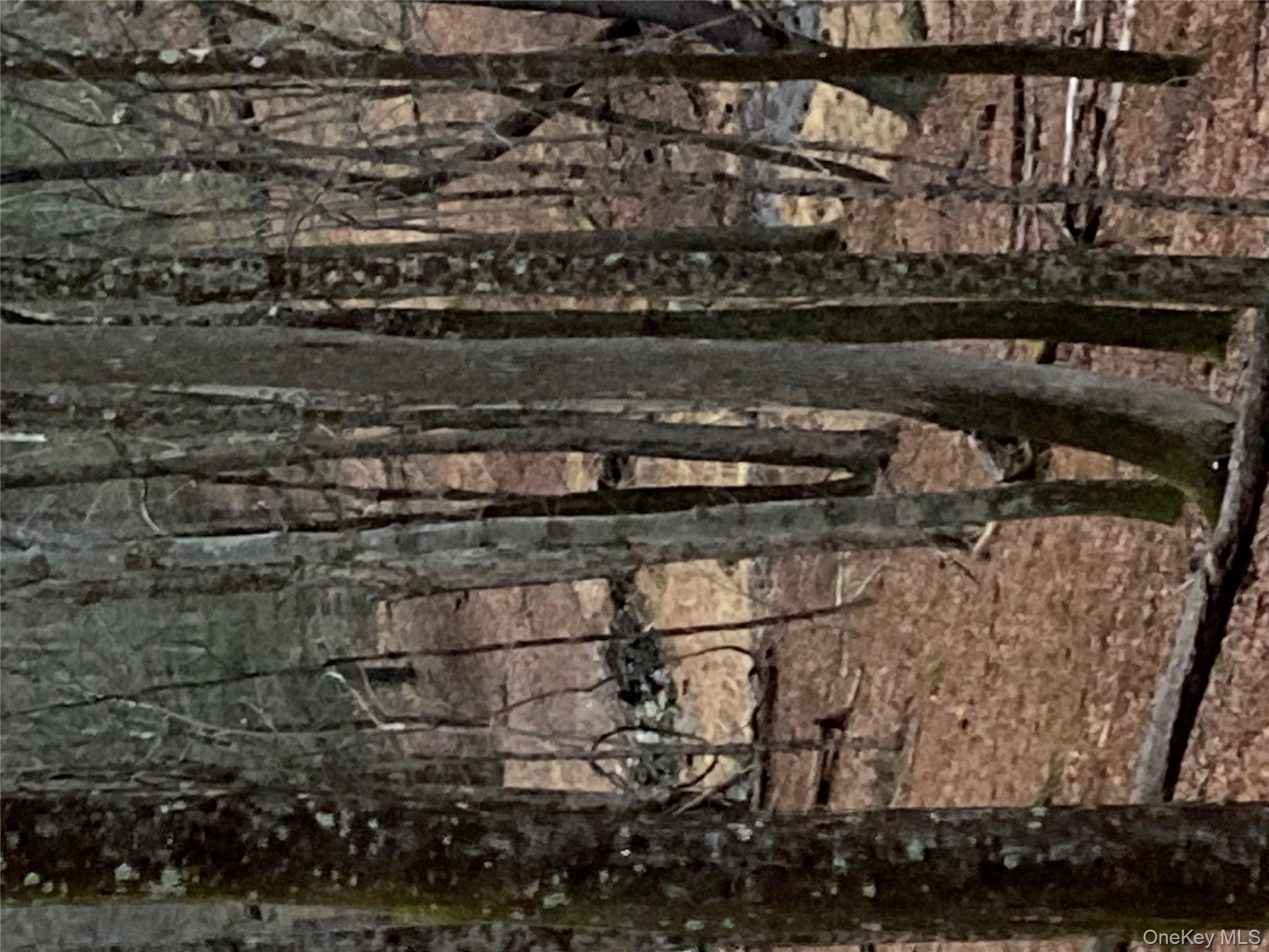 Red Hill Road, Wurtsboro, NY 12790