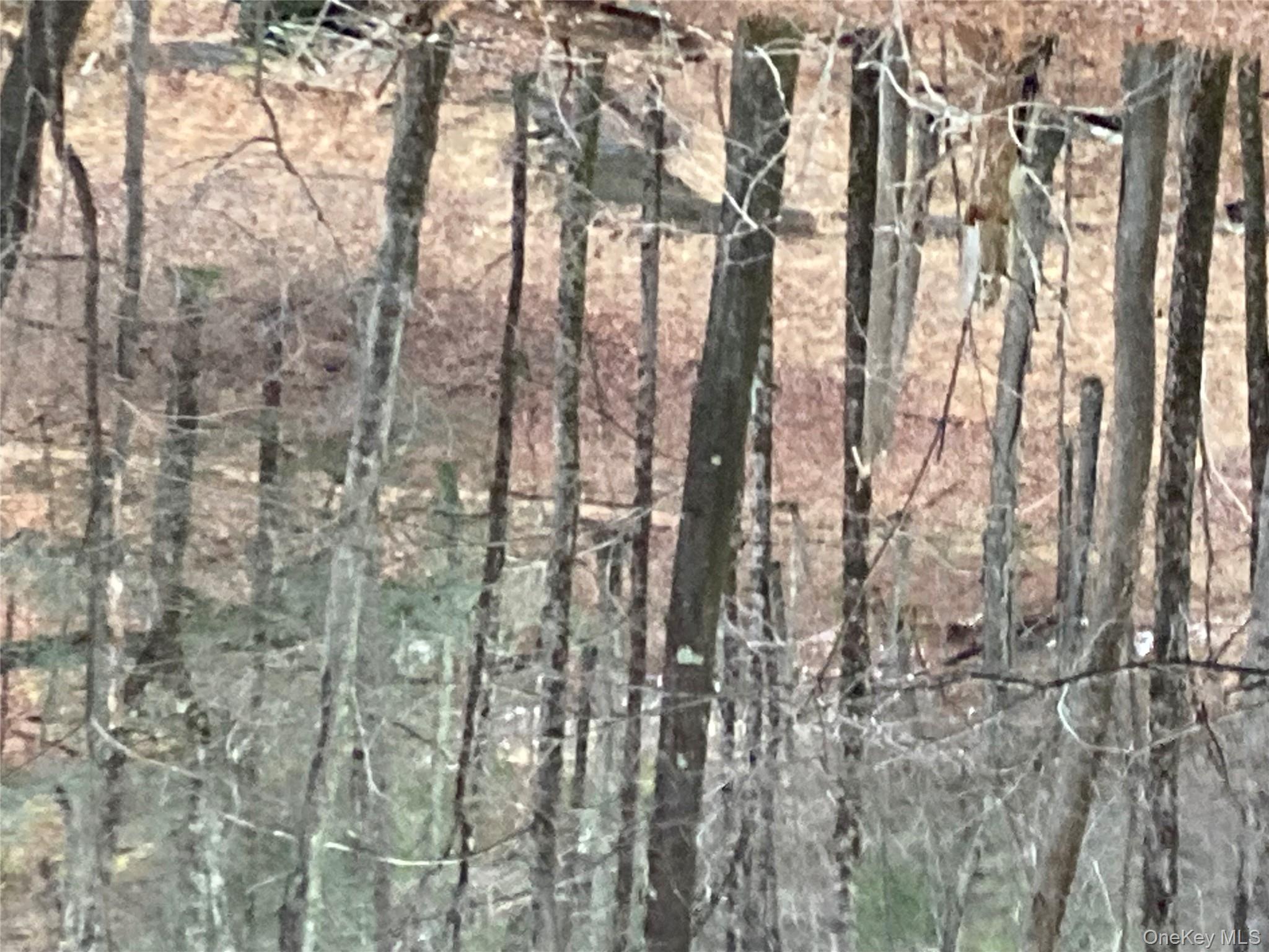 Red Hill Road, Wurtsboro, NY 12790