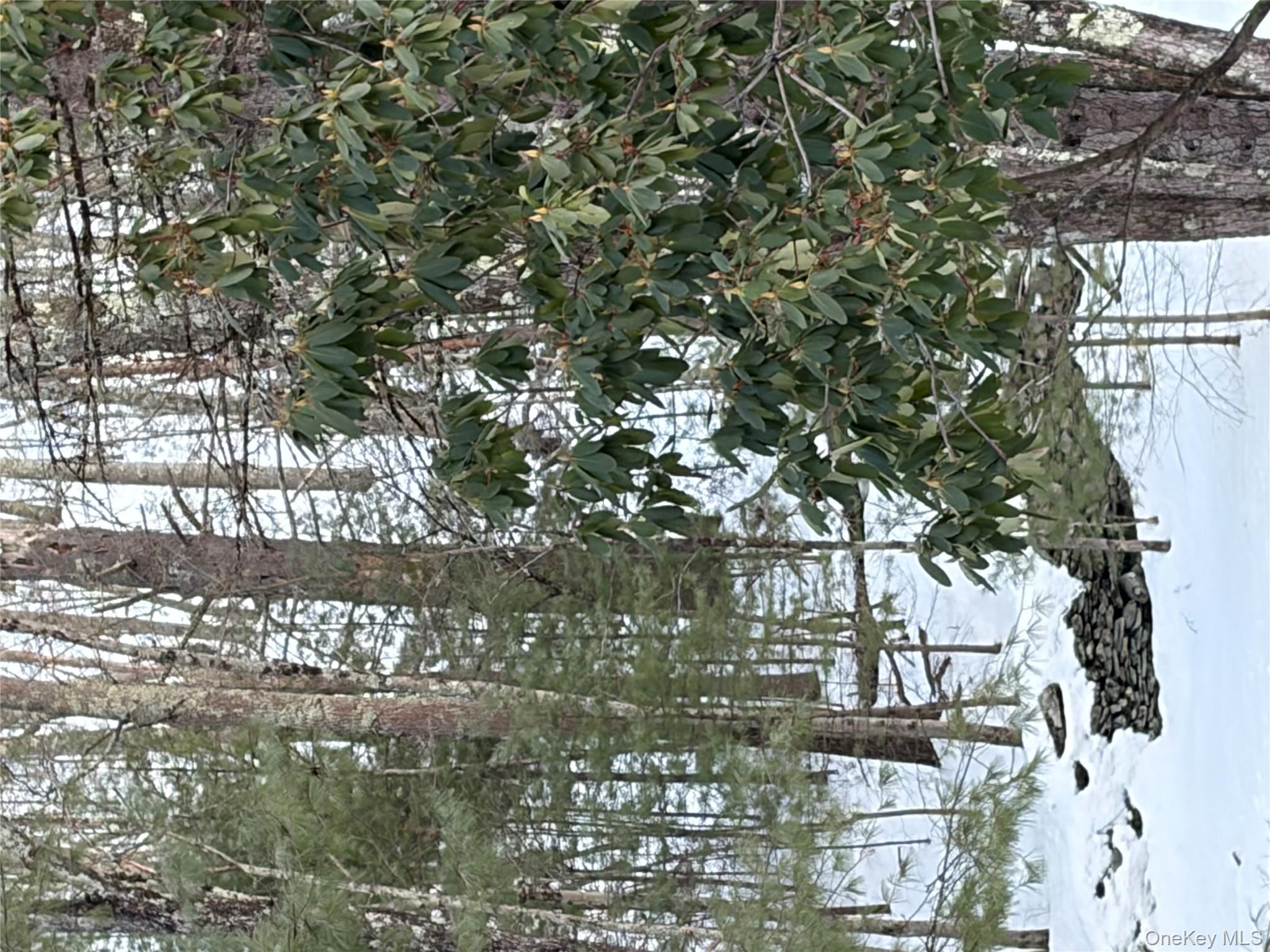 Red Hill Road, Wurtsboro, NY 12790