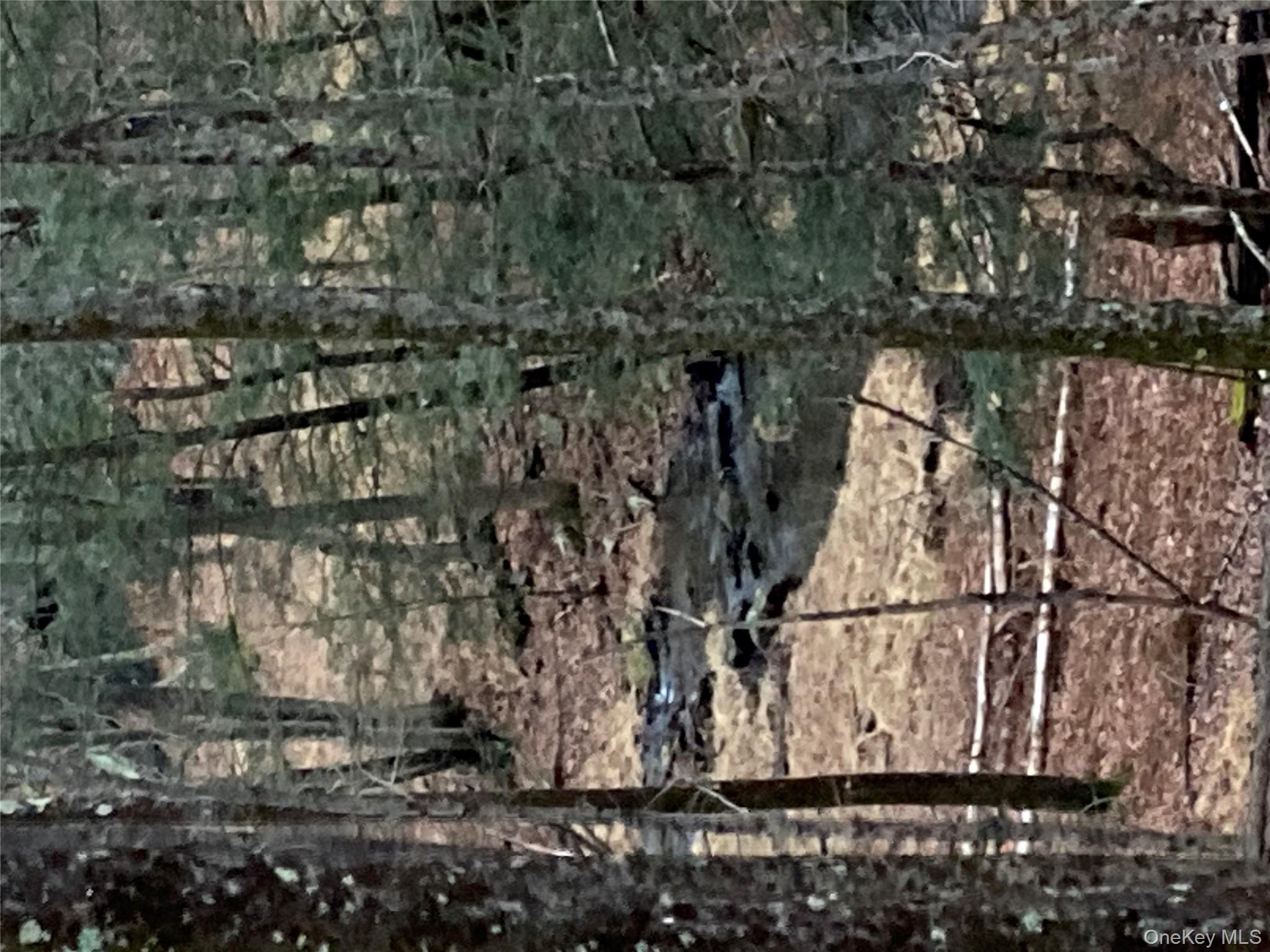 Red Hill Road, Wurtsboro, NY 12790