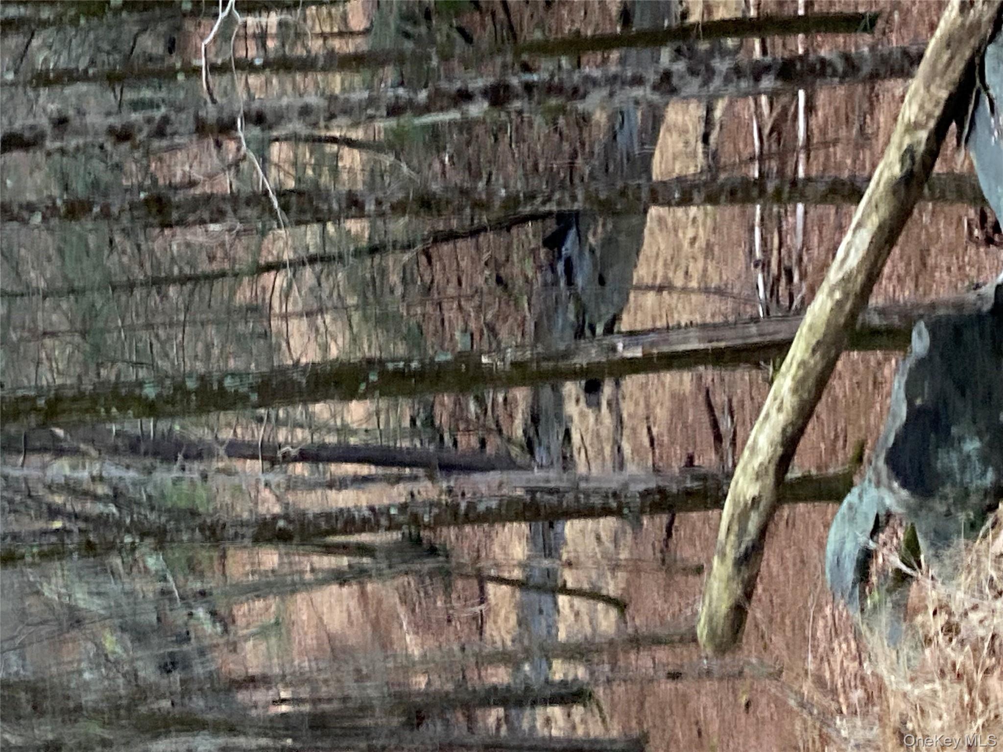 Red Hill Road, Wurtsboro, NY 12790