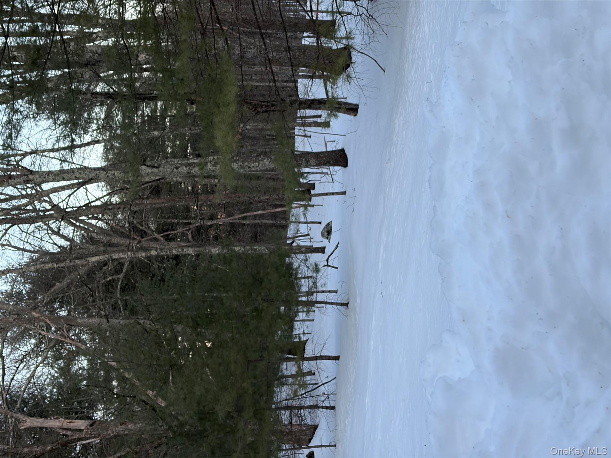 Red Hill Road, Wurtsboro, NY 12790