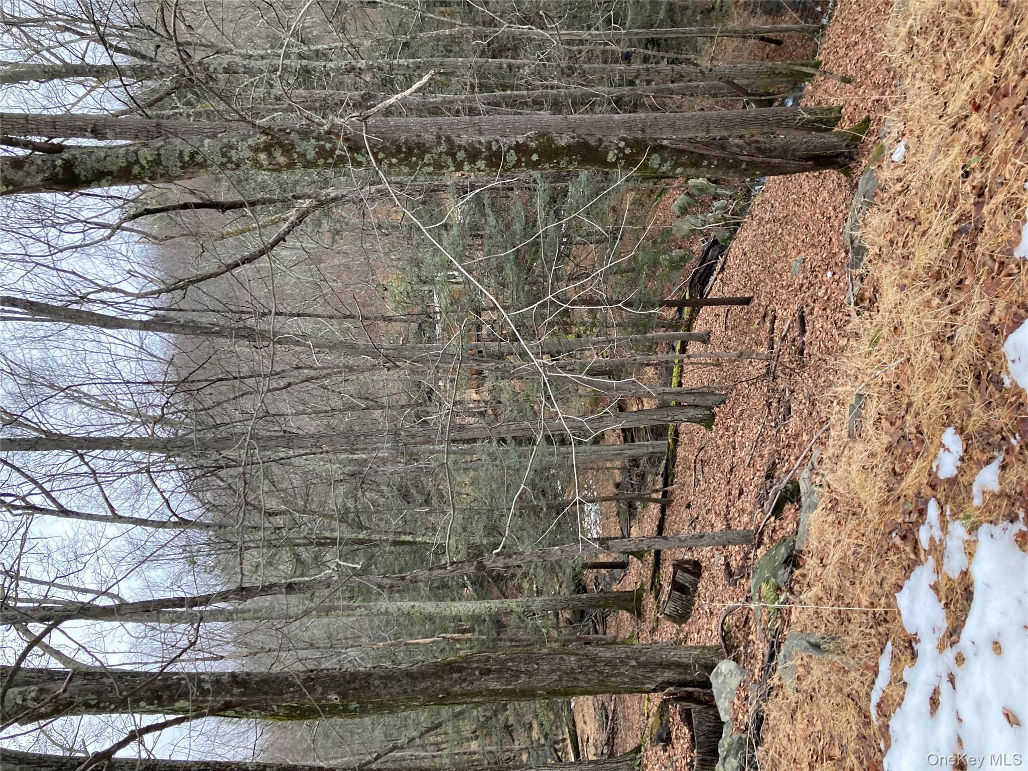 Red Hill Road, Wurtsboro, NY 12790