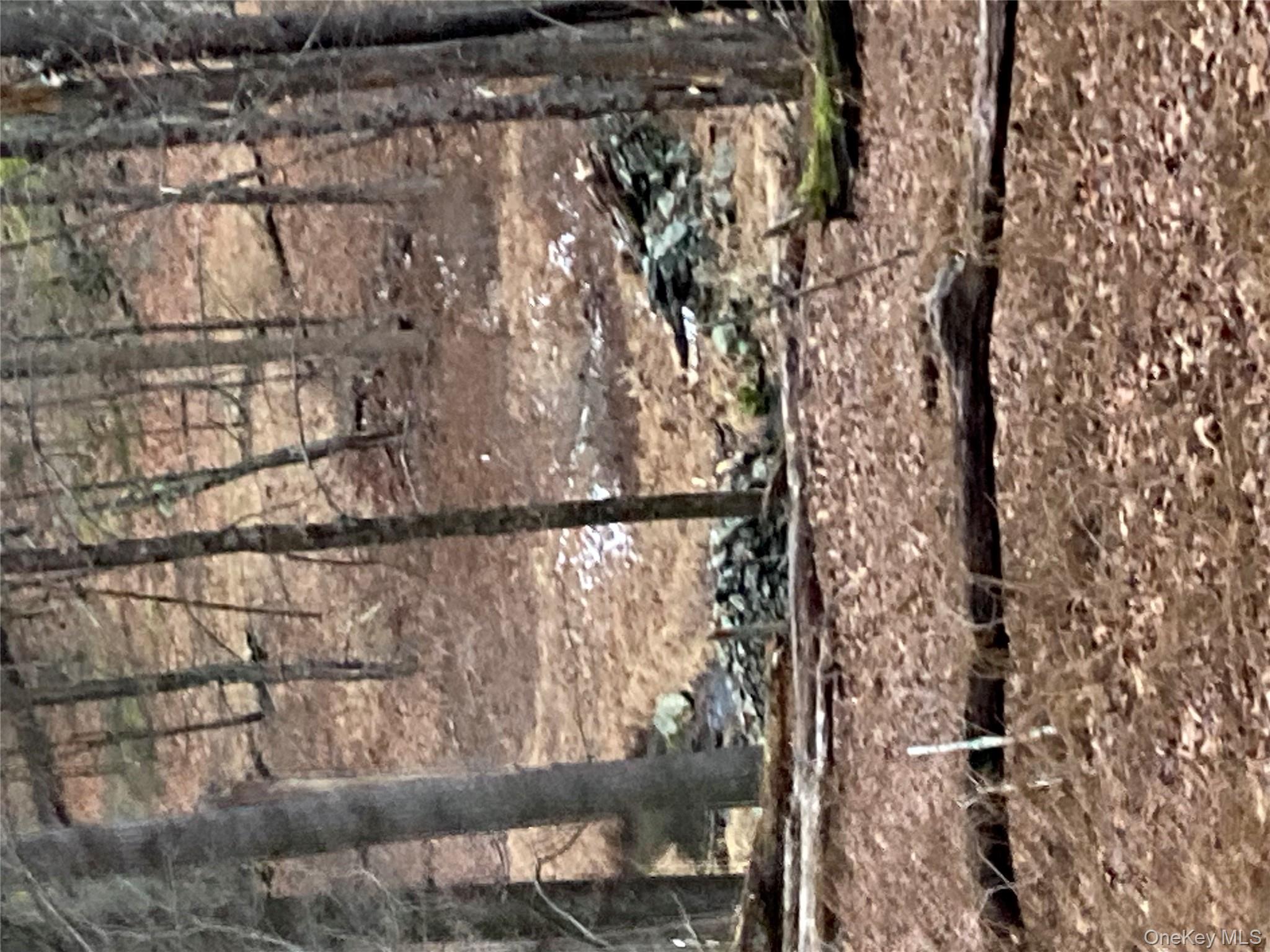 Red Hill Road, Wurtsboro, NY 12790