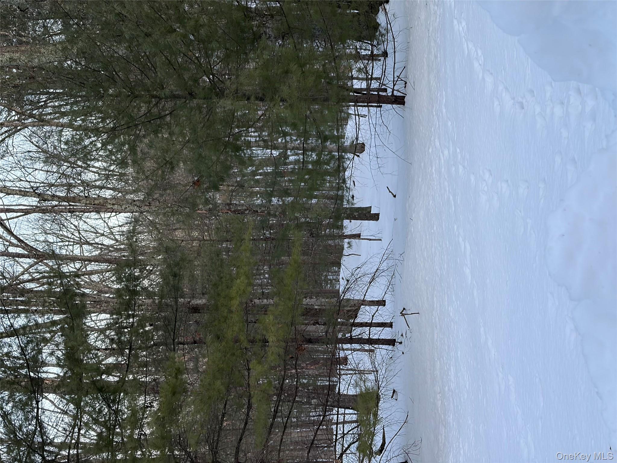 Red Hill Road, Wurtsboro, NY 12790