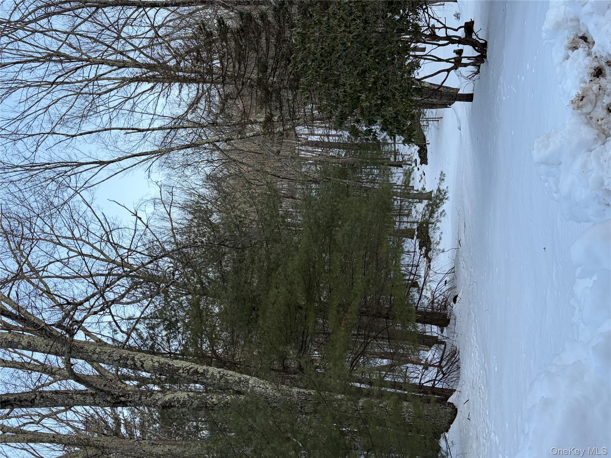 Red Hill Road, Wurtsboro, NY 12790