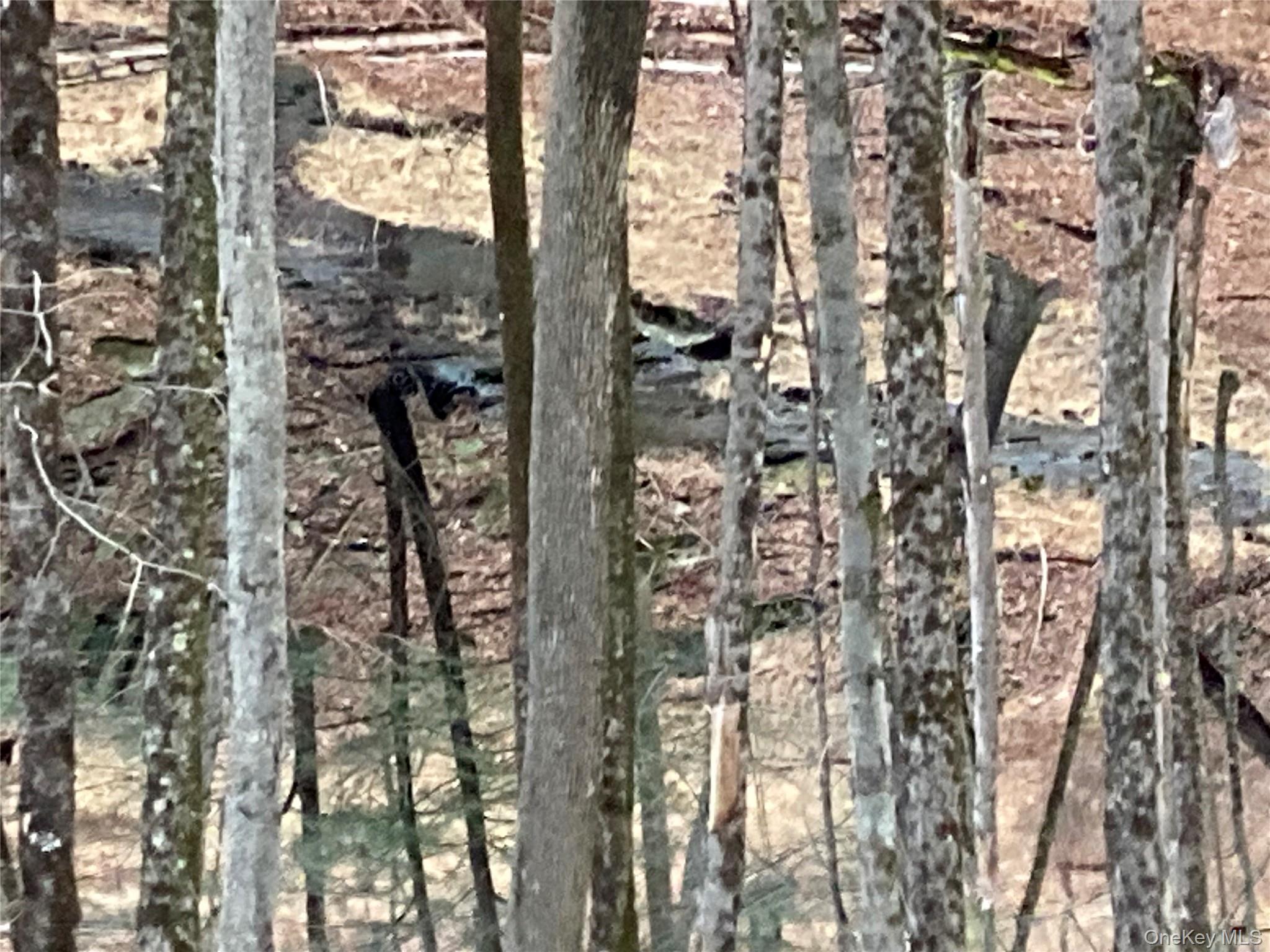 Red Hill Road, Wurtsboro, NY 12790