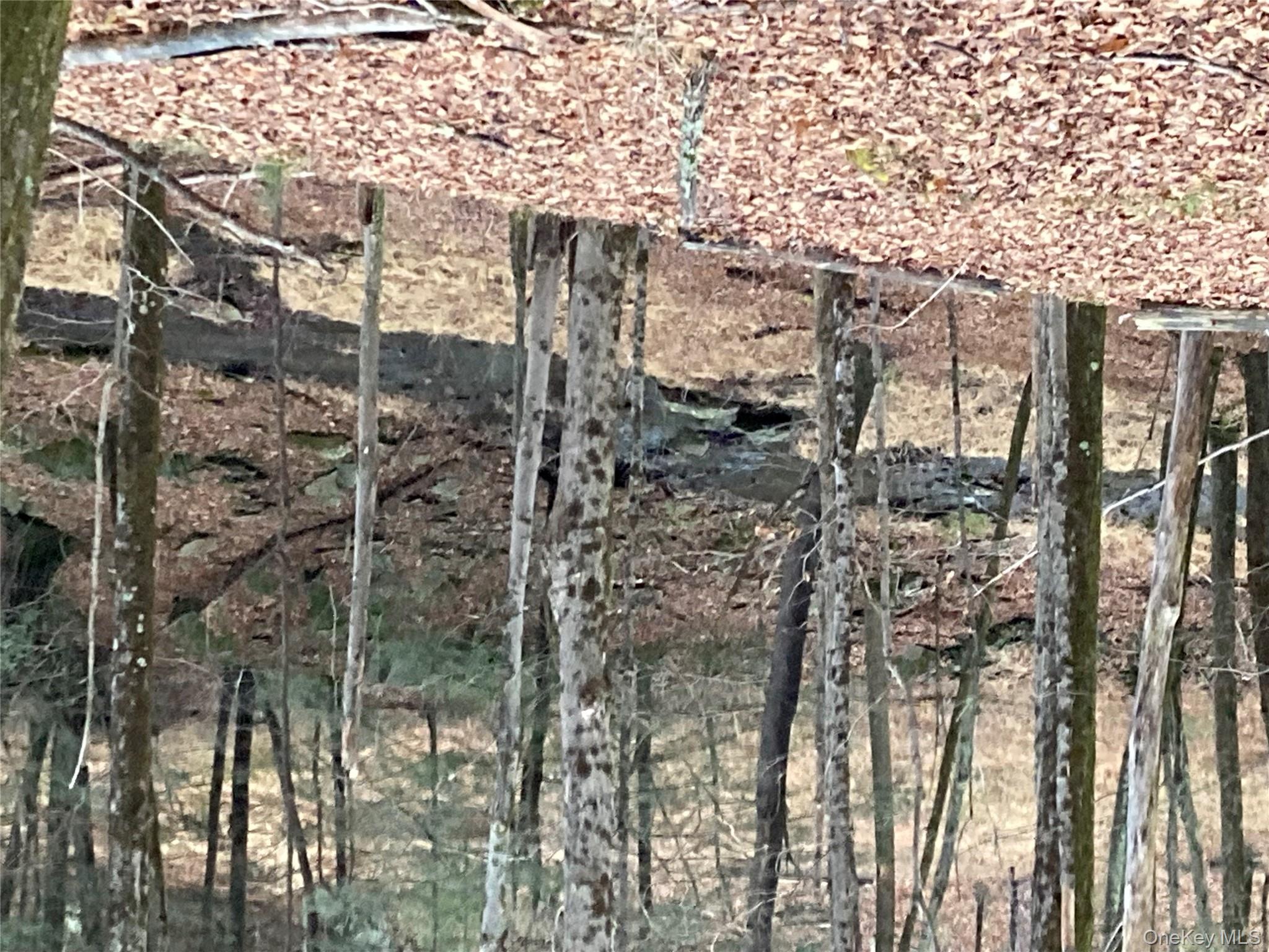 Red Hill Road, Wurtsboro, NY 12790