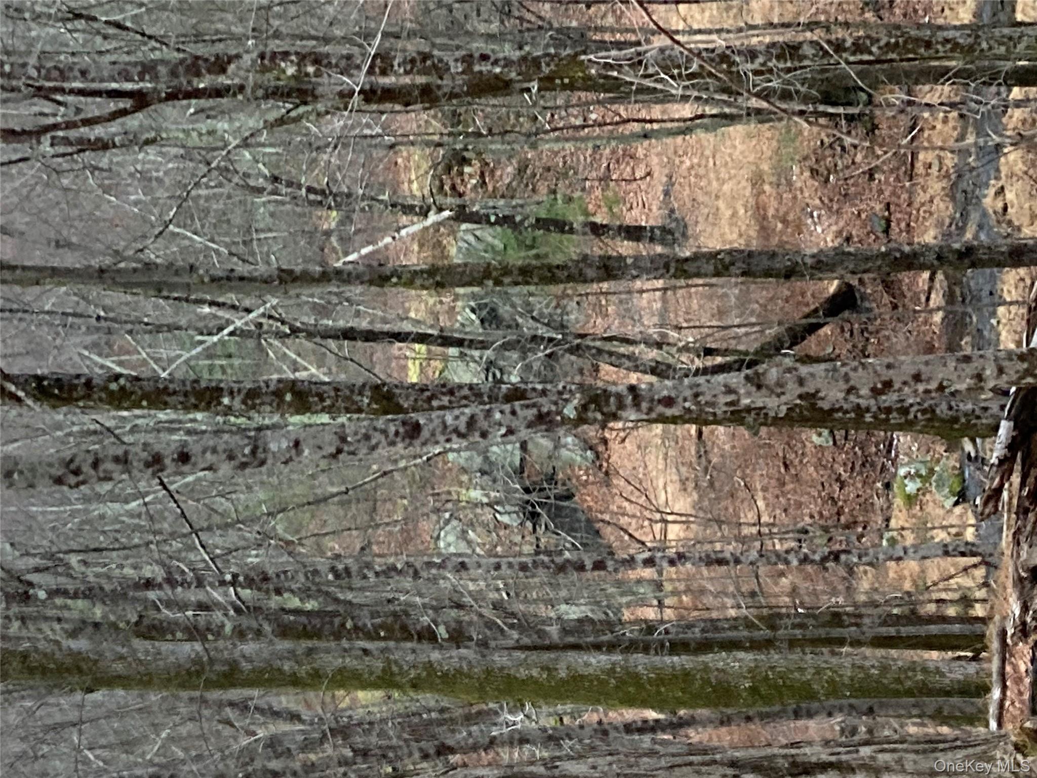 Red Hill Road, Wurtsboro, NY 12790