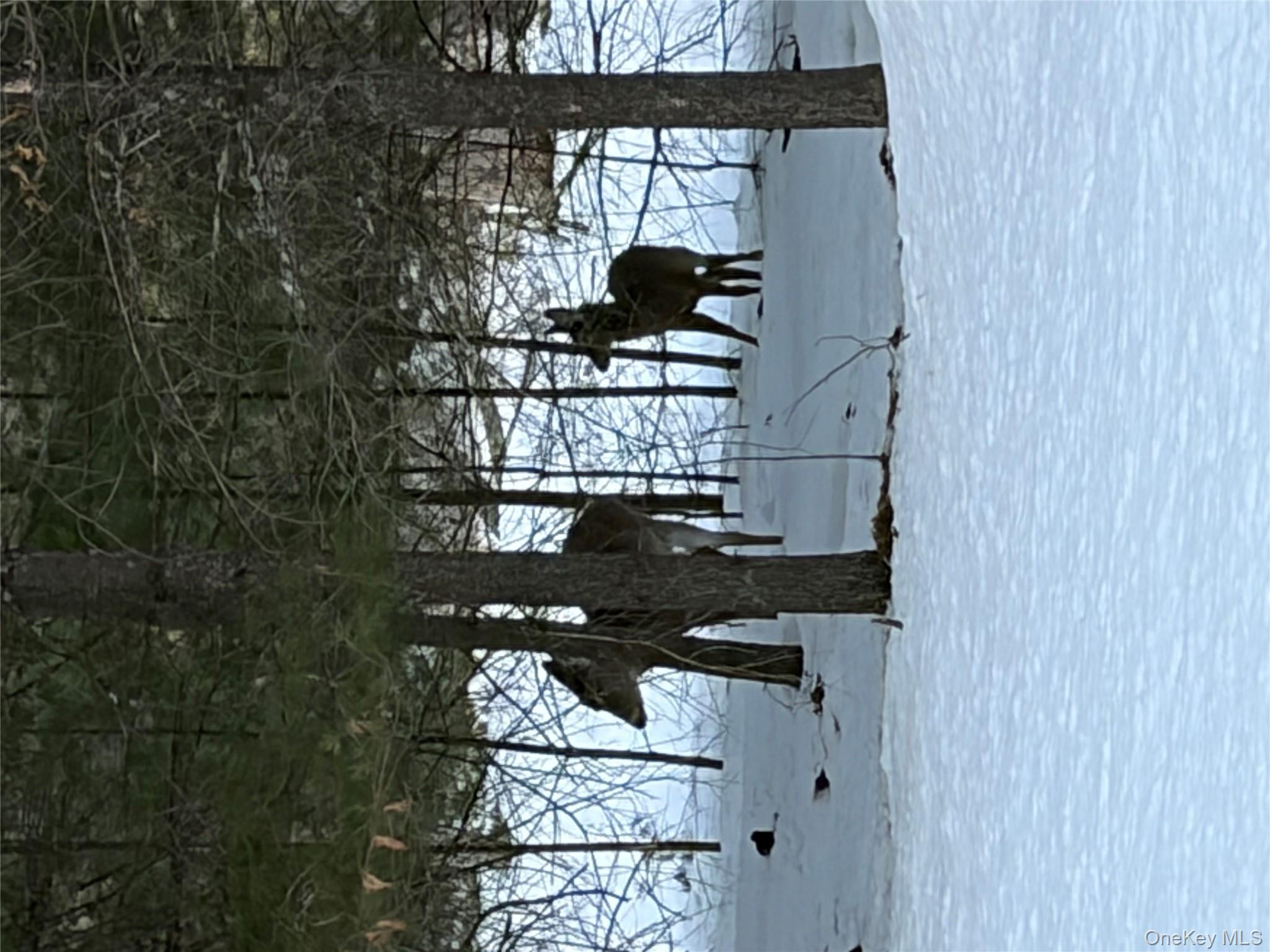 Red Hill Road, Wurtsboro, NY 12790