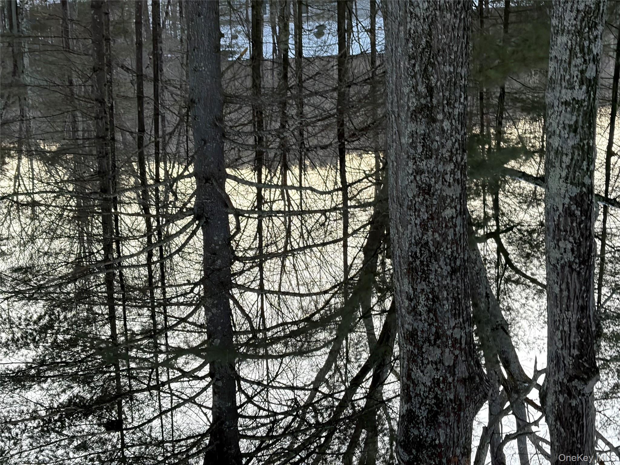 Red Hill Road, Wurtsboro, NY 12790