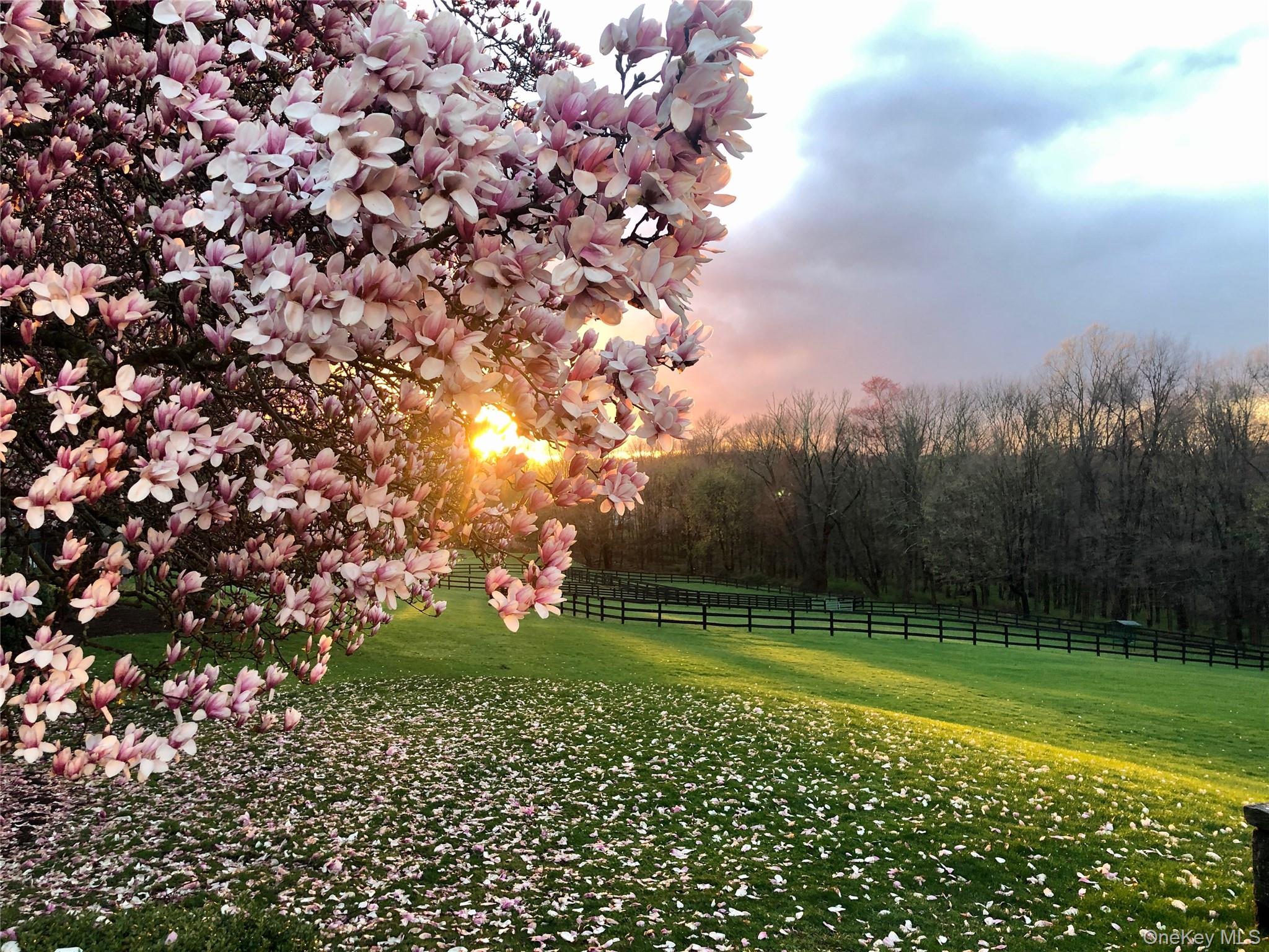 149 Narrows Road, Bedford Hills, NY 10507