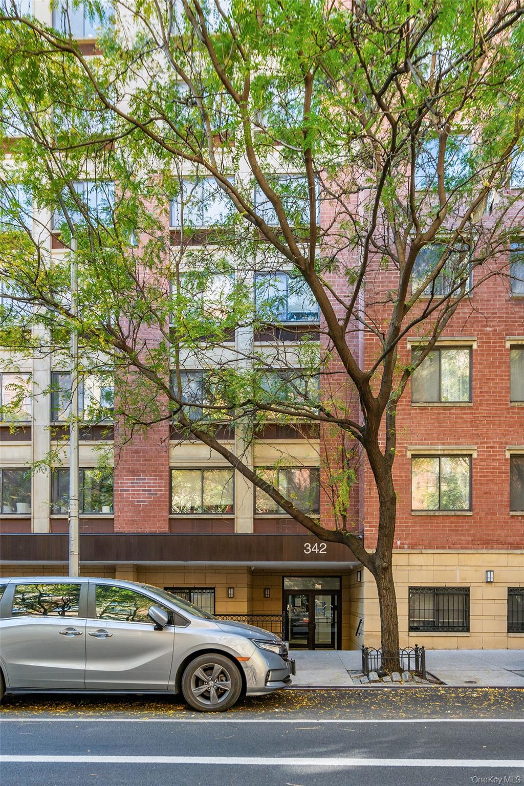 342 E 119 St # 1F, New York (Manhattan), NY 10035