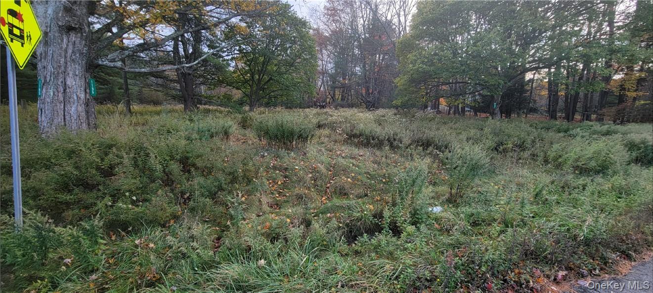 1195 NYS Route 17B, Mongaup Valley, NY 12762