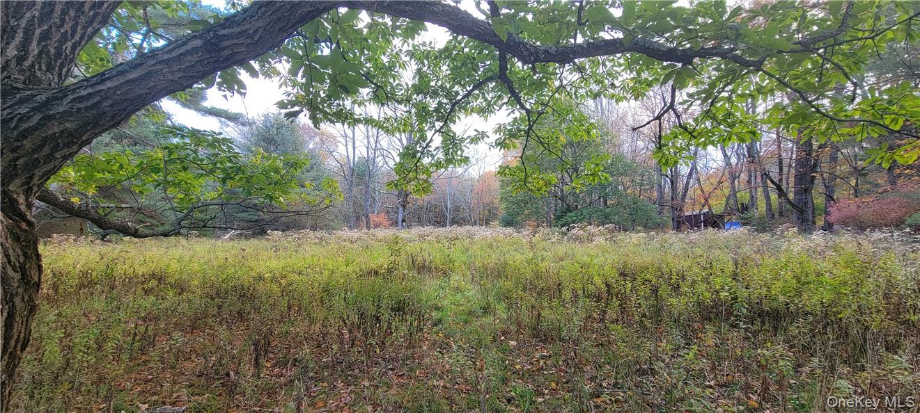 1195 NYS Route 17B, Mongaup Valley, NY 12762