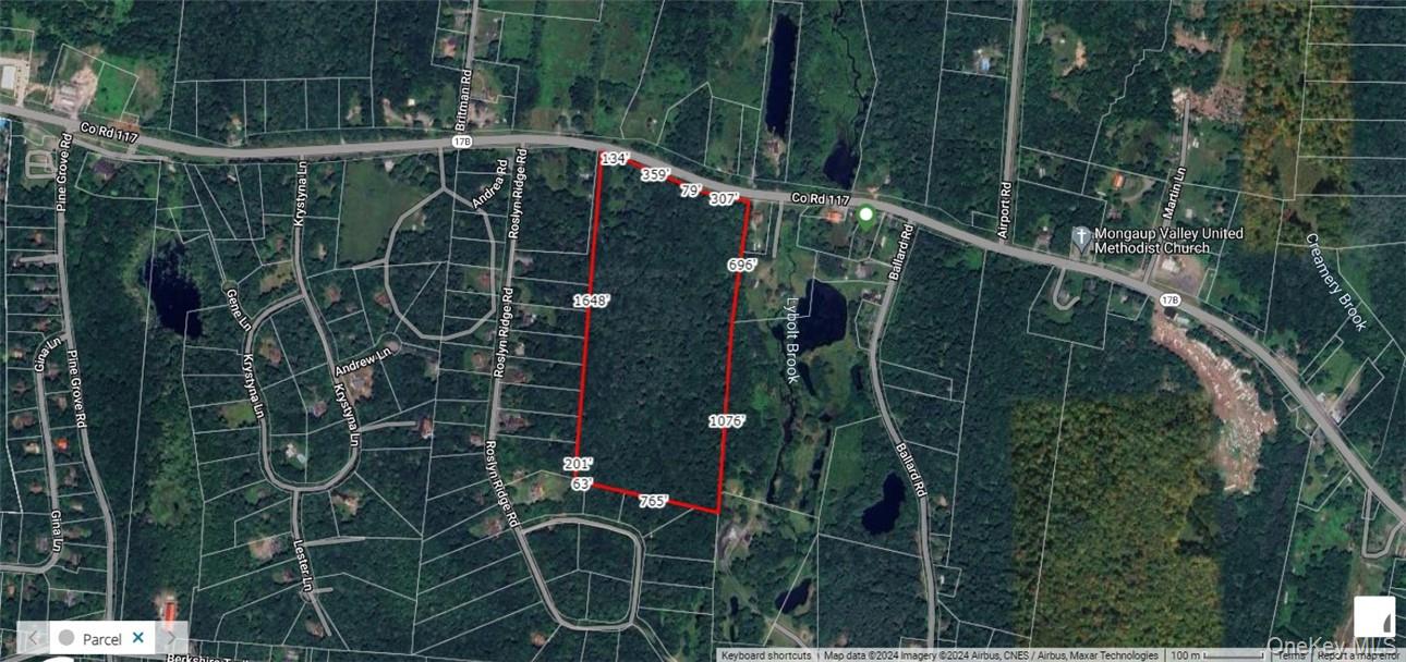 1195 NYS Route 17B, Mongaup Valley, NY 12762