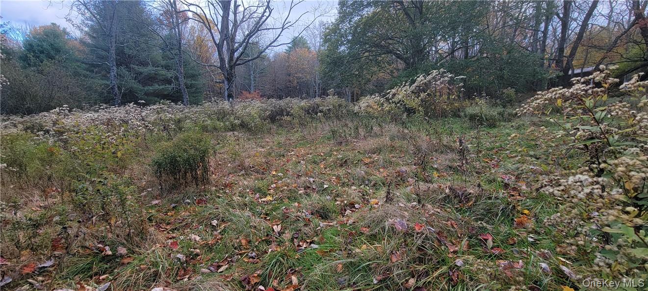 1195 NYS Route 17B, Mongaup Valley, NY 12762