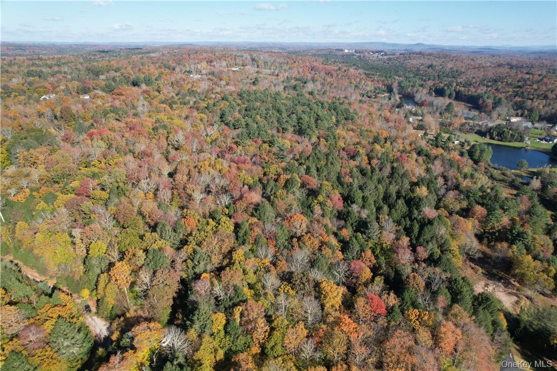 1195 NYS Route 17B, Mongaup Valley, NY 12762