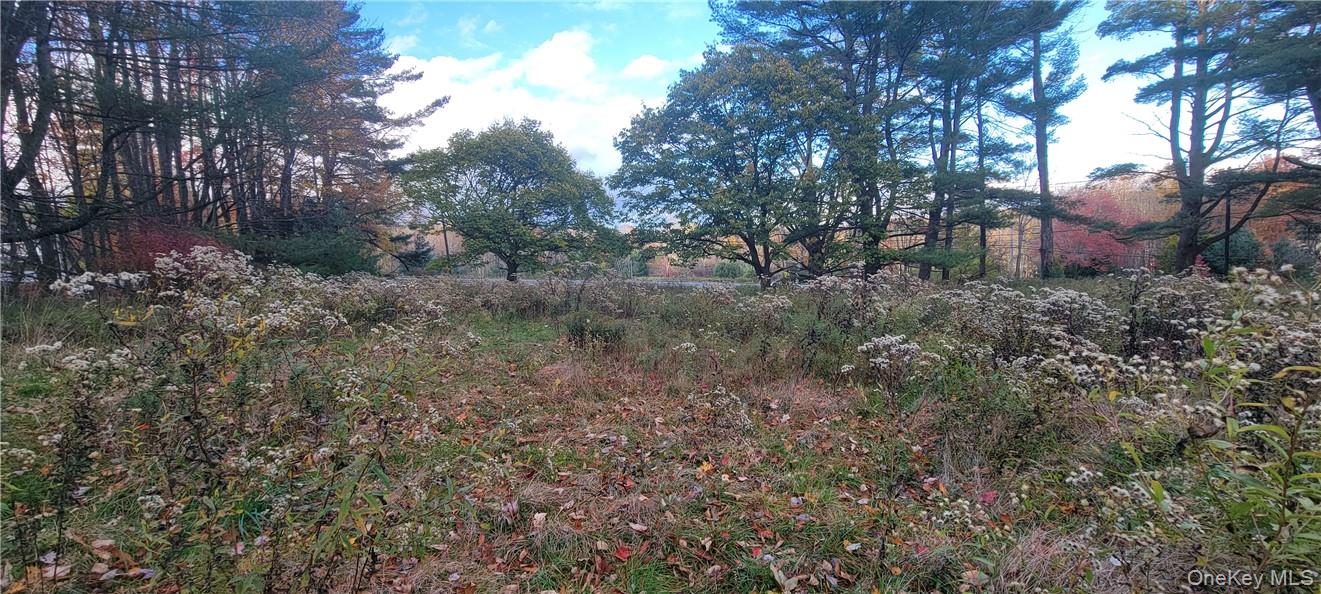 1195 NYS Route 17B, Mongaup Valley, NY 12762